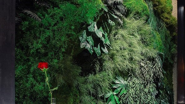 FLORESTA Volumen