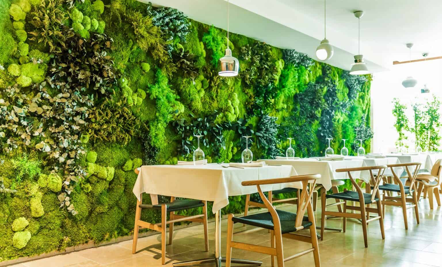 MOOS PFLANZEN MID GREEN AREA OD HOTEL IBIZA 4 copia 1536x928 Volumen