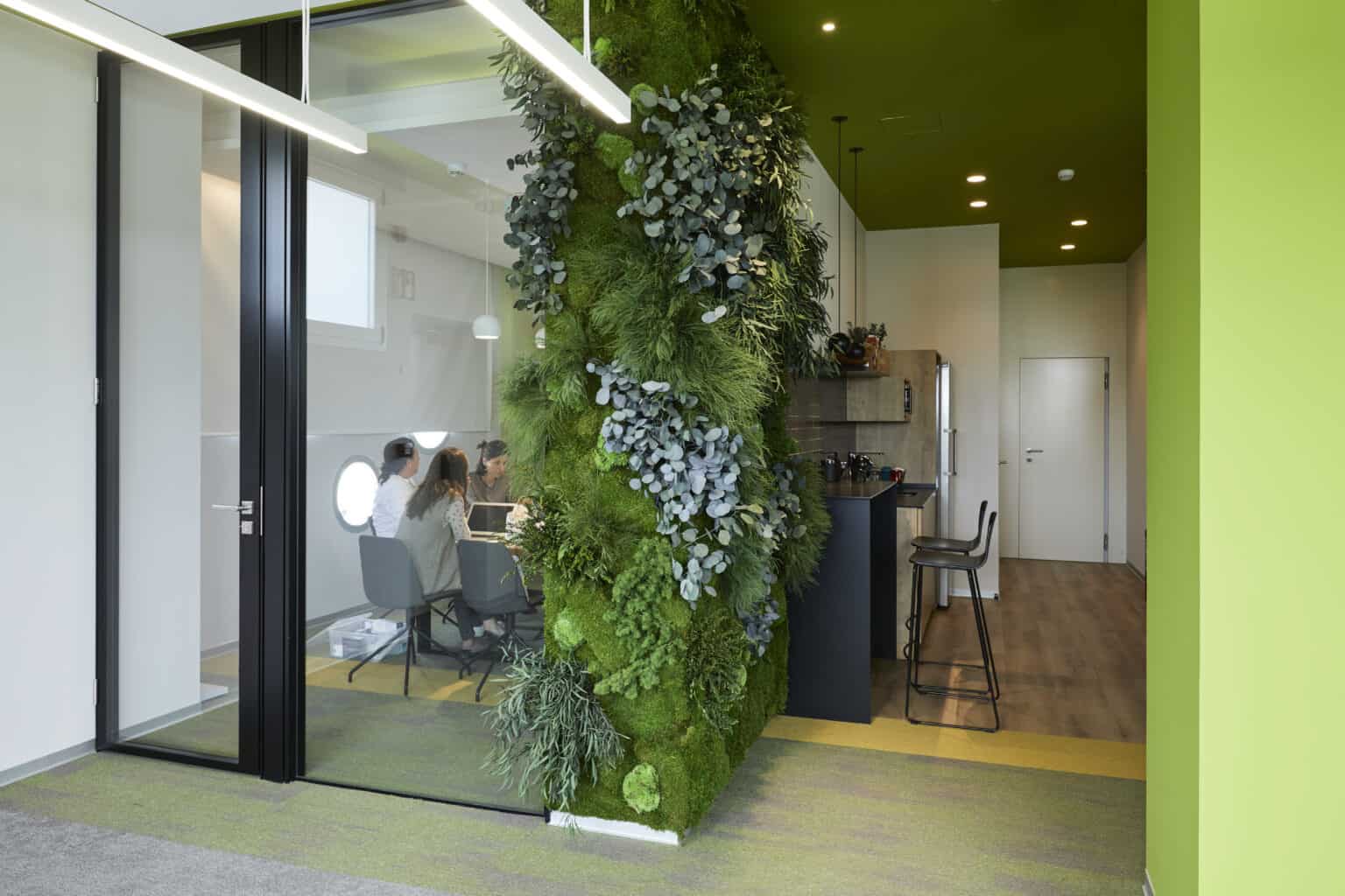 MOOS PFLANZEN MID Greenarea decoracion vegetal oficinas Viokox 3 1536x1024 Volumen