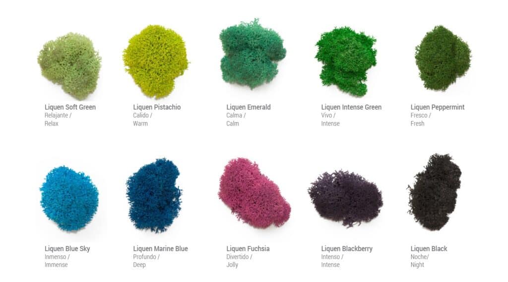 COLORES 1024x568 VERTIKALER GARTEN