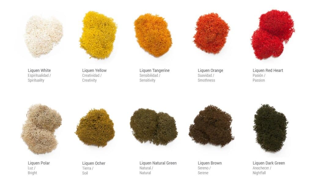 COLORES copia 1024x606 VERTIKALER GARTEN
