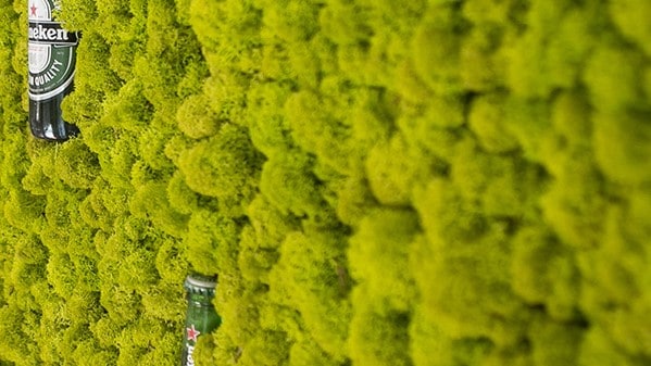 flechte STANDARD VERTIKALER GARTEN