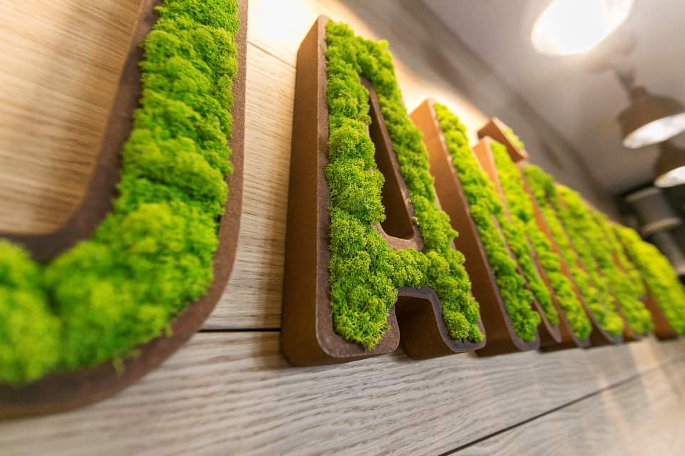 moss identity Identity
