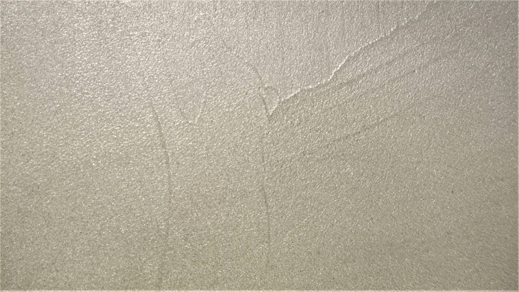 3 TRANSIT 1024x576 Eco Cement